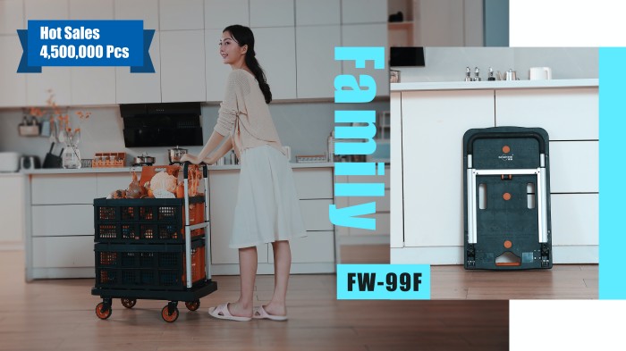 Foldable Dolly