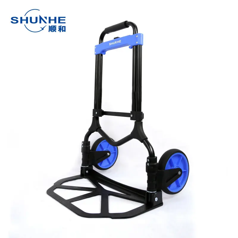 Hand Trolley Truck1